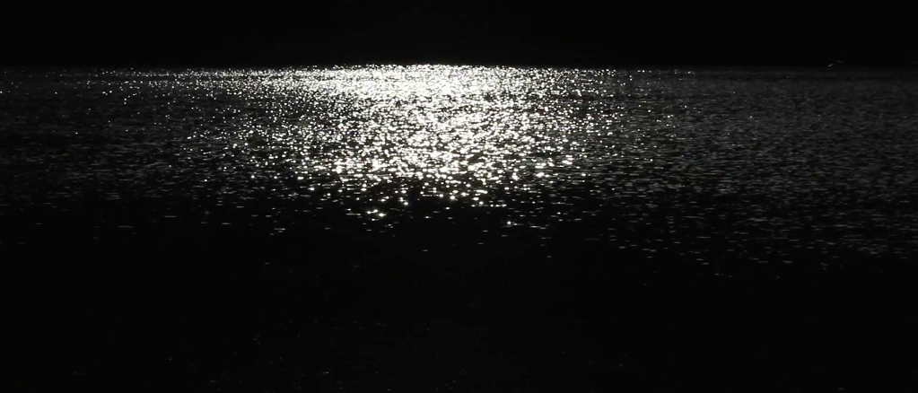 moon-light-on-the-dark-sea-in-night-white-and-black-scenery_nu-yotgsix__F0000.png